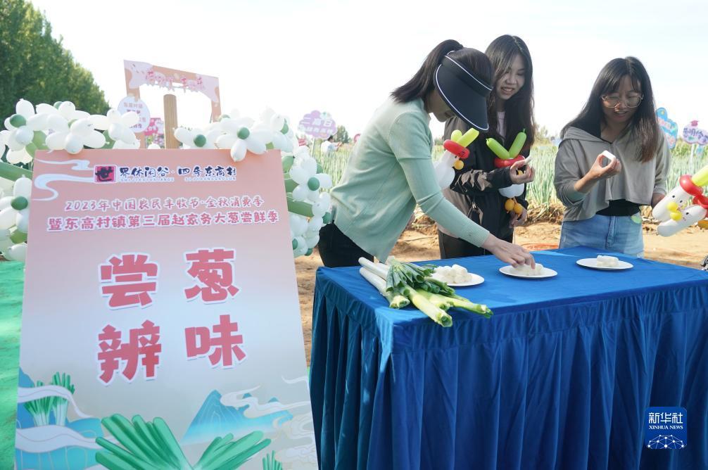 好赢棋牌大掌柜